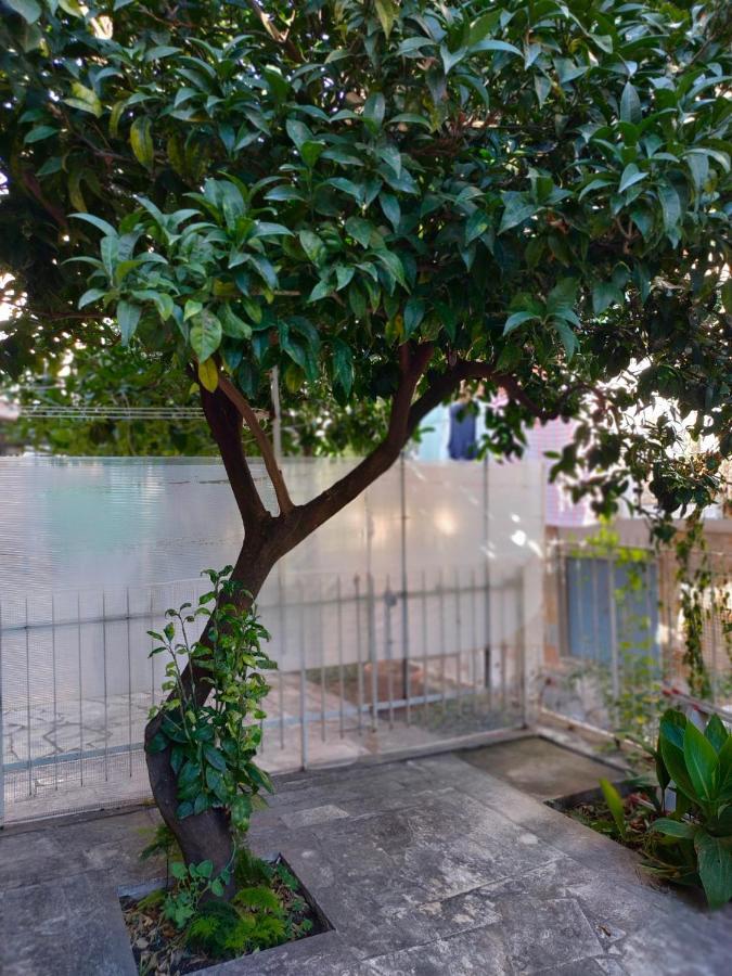 Apartment Mini Ornelia *